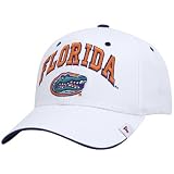 Zephyr Florida Gators White Sport Hat