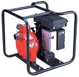 Riverside Pumps S2B NA 2 Centrifugal Pump, 3.5 HP B&S S2B