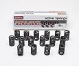 Edelbrock 5802 Valve Springs - Set of 16