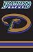 AFARZ Diamondbacks 44x28 Applique Banner Image