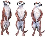 Meerkats (set of 3)