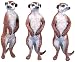 Meerkats (set of 3)