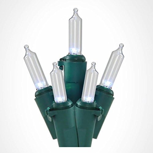 25' LED Glass Mini 50 Light Strand, Green Wire, Cool White