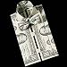 The Cash Shirt