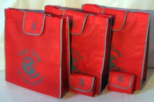 5 Large Red & Gray Foldable Shopping Bags : Eco Grocery Bags : Hold 20LBS+