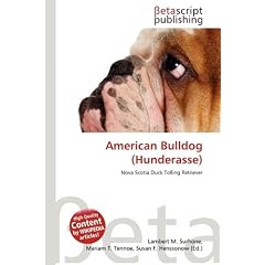 American Bulldog (Hunderasse)