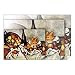 Epson Premium Canvas Matte - Fine art heavy-weight high resolution matte poly-cotton coated canvas paper - 19 mil - ANSI C (17 in x 22 in) - 375 g/m2 - 25 sheet(s)