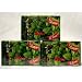 150 gr El Rosha MINT Herbal Egyptian Hookah Shisha - 100% Natural Shisha Molasses Tobacco-Free for Hooka Huka Sheesha Nargila Narghile / Includes 3 x 50 gram boxes - 150 grams shisha total