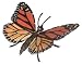 MONARCH BUTTERFLY by Safari, Ltd.