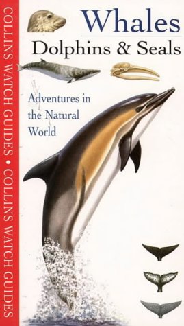 Whales, Dolphins & Seals (Collins Watch Guide)