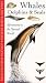 Whales, Dolphins & Seals (Collins Watch Guide)