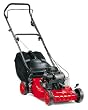 champion lawn mowers sale