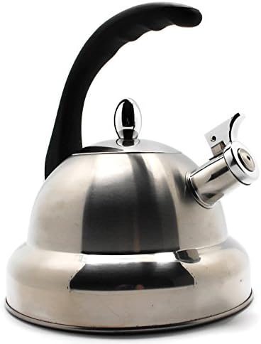 Stainless Steel Teakettle with Mesh Spring Tea Infuser - Boils water for teas, coffees, hot beverages, and soups - Induction compatible - Great Mother's Day or Wedding Gift