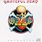 Like The Grateful Dead