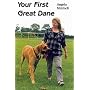 Your First Great Dane