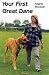 Your First Great Dane