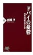 ドバイの憂鬱 湾岸諸国経済の光と影 (PHP新書)