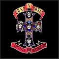 Appetite for Destruction