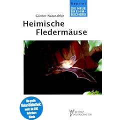 Heimische Flederm�use