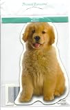 Adorable Golden Retriever Puppy Large Magnet 2.5