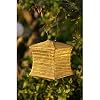 Soji Silk Effects Solar Lantern Tear Drop Moss