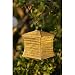 Soji Silk Effects Solar Lantern Square Moss