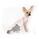 Halter Top with Stripe Pants