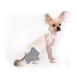 Halter Top with Stripe Pants