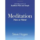 Meditation Now Or Neverby Steve Hagen