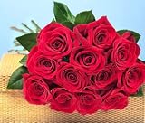 One Dozen Simply Red Roses
