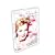Romy Schneider (coffret 4 DVD) : Monpti - Mam'zelle Cricri - Mon premier amour - Un petit coin de Paradis