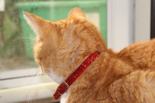 Ruby Red Glitter Glamour Safety Cat Collar 12 inch