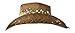 F&Co. Tea Stained Straw Cowboy Hat with Beaded Trim Band, Beach Western Cowgirl Style