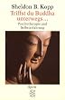 Triffst du Buddha unterwegs ...: Psychotherapie und Selbsterfahrung
