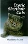 Exotic Shorthair Cats