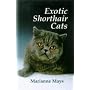 Exotic Shorthair Cats