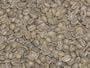 Java Estate Green Coffee Beans - 5lbs