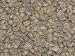 Java Estate Green Coffee Beans - 5lbs