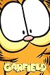 Garfield Close Up Poster 24 x 36