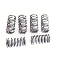 EBC Premium Kupplungsfedern-Kit f�r KAWASAKI - KFX 450 R Quad (KSF 450 B8F/B9F) | , TRIUMPH - Adventurer | Daytona 750 (3cyl) | Trident 750 | Speed Triple (Carb models) | Daytona 900 93cyl) | Tiger 900cc (Up to VIN71698) | Trident 900 | Trophy 900 (3cyl) | Daytona Super III (3cyl) | Legend TT | Sprint (All carb models up to VIN9082) | Sprint (All carb models from VIN9083) | Thunderbird | Thunderbird Sport