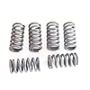 EBC Premium Kupplungsfedern-Kit f�r BMW - F 650/93 K60/0161 | F 650/93 K60/0161 | F 650/97 K60/0162 | F 650 ST K60/0163 | F 650 Dakar/M K78/0176 | F 650 Dakar K78/0173 | F 650 GS K78/0172 | F 650 GS/M K78/0175 | F 650 CS Scarver K14/0174 | F 650 CS/M Scarver K14/0177
