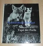 Tapsi, der Fuchs.