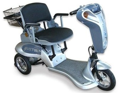 EV Rider Gusto Electric Scooter