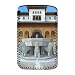 The Lion's Court (acrylic on linen) by.. - Protective Phone Sock - Art247 - Standard Size