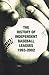 Search : The History of Independent Baseball Leagues 1993-2002