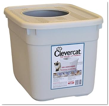 Clever Cat
