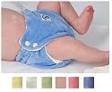 SwaddleBees Organic Cotton Velour Fitted Diaper