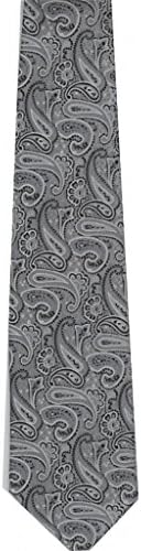 Valentino Ricci Men's Poly Neck Tie - Silver Paisley