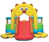Lion's Den Bounce House with Slide