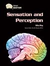 Sensation And Perception (Gray Matter)